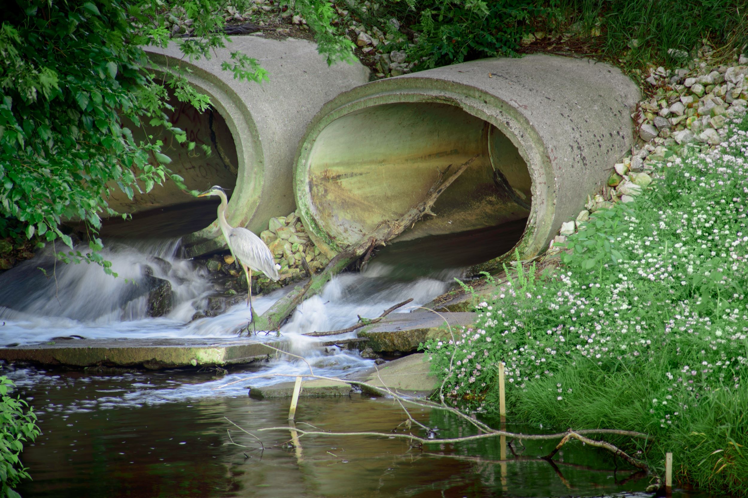 Grandville, MI Shutterstock 1122679220